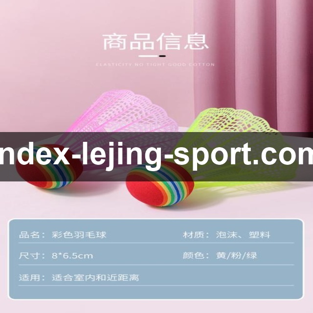 乐竞体育电脑版使用指南：操作体验解析及核心功能全面介绍