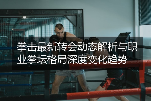 拳击最新转会动态解析与职业拳坛格局深度变化趋势