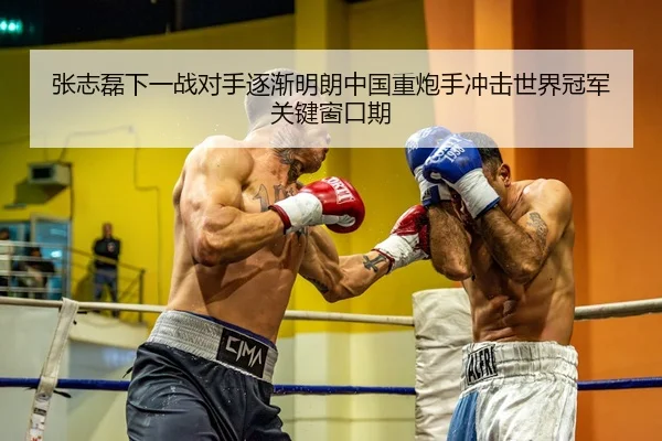 张志磊下一战对手逐渐明朗中国重炮手冲击世界冠军关键窗口期